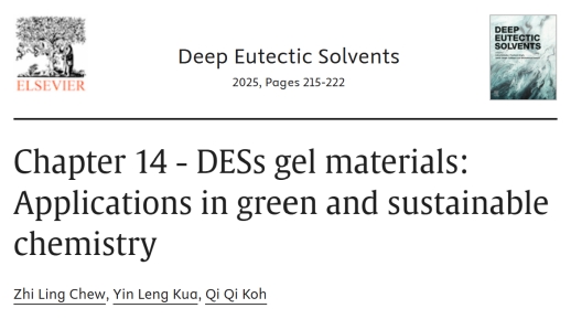 CME-Postgraduate-Student-Publishes-Book-Chapter-on-Deep-Eutectic-Solvents-Gel-Materials