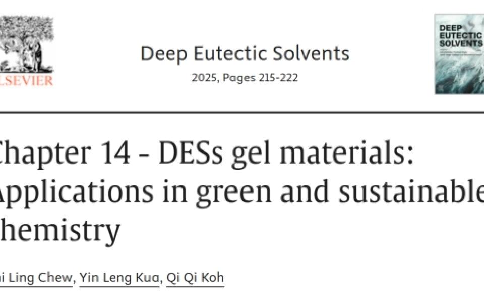 CME-Postgraduate-Student-Publishes-Book-Chapter-on-Deep-Eutectic-Solvents-Gel-Materials
