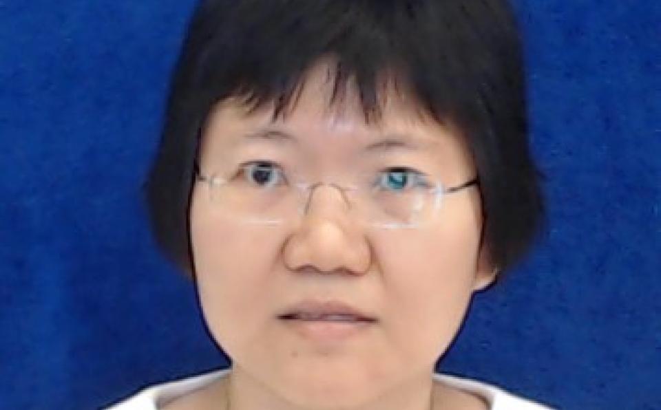 Prof. Dr. Teo