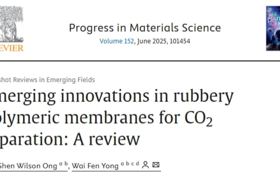 Prof.-Ir.-Dr.-Yong-Wai-Fen-&-Student-Publish-in-Progress-in-Materials-Science-2