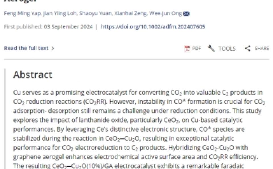 Prof.-Ong-Wee-Jun-&-Team-Publish-in-Advanced-Functional-Materials-and-Selected-as-Journal-Back-Cover
